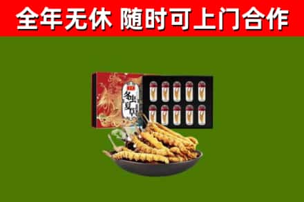 宜都回收冬虫夏草价格